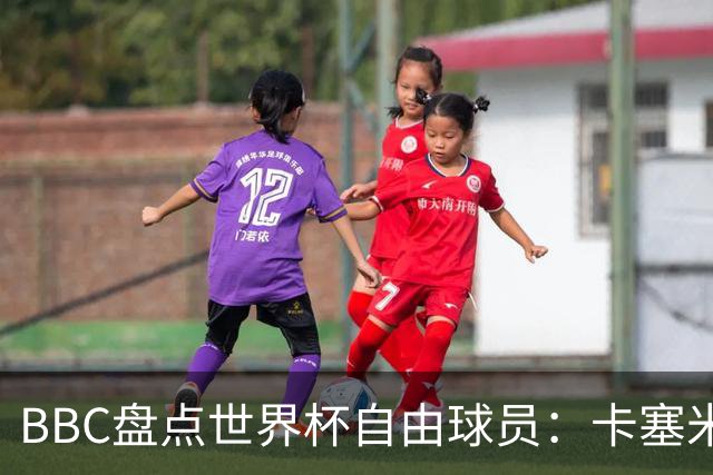 BBC盘点世界杯自由球员：卡塞米罗、莫德里奇、沃齐尼亚在列