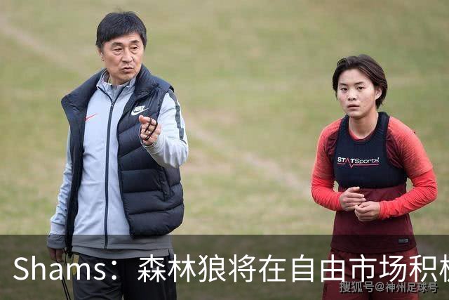 Shams：森林狼将在自由市场积极补强4号位 但他们只能提供底薪